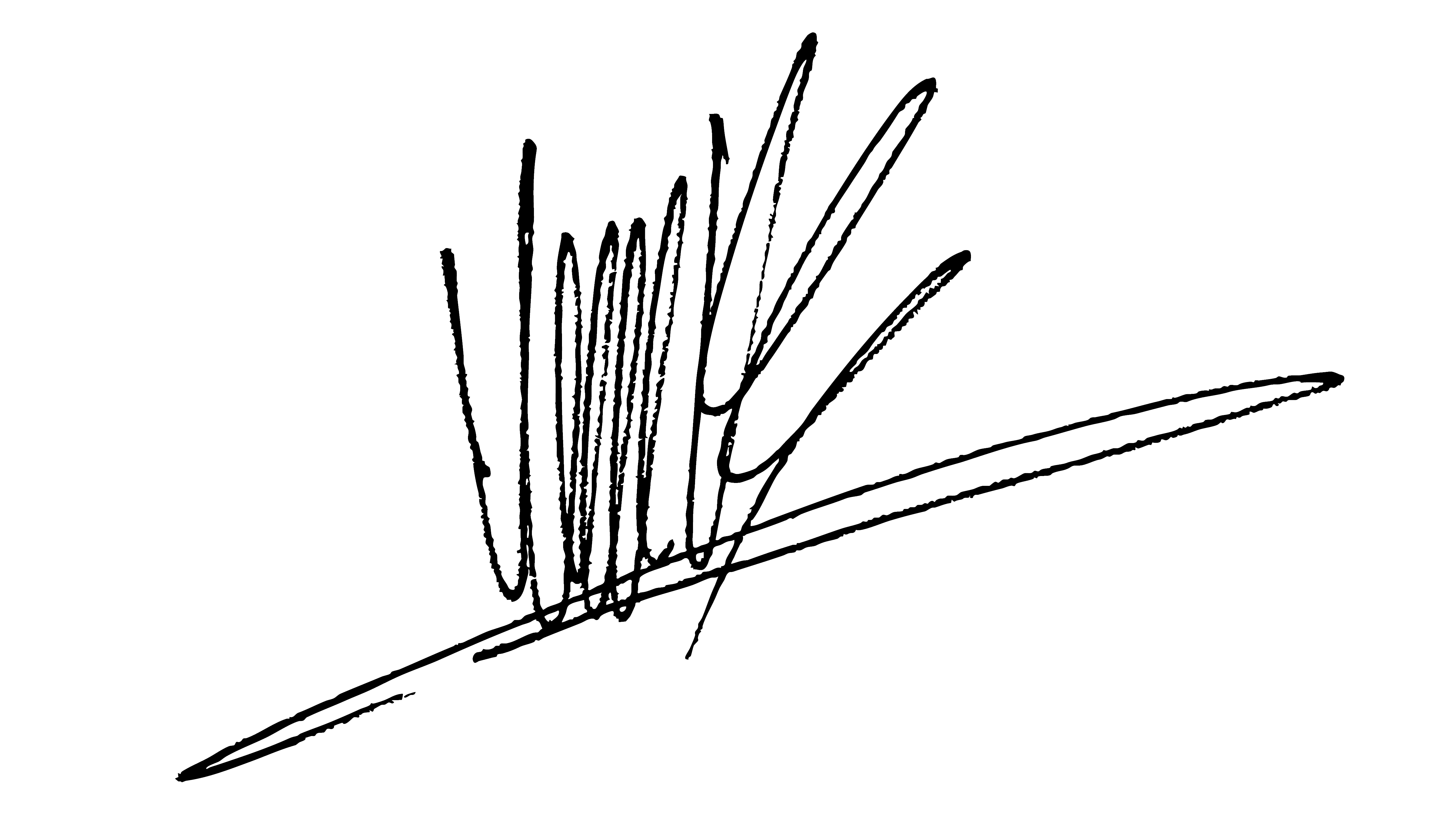 Signature Logo